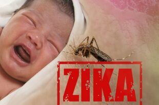 تاثیر ویروس زیکا در بارداری بر سیستم ایمنی کودک