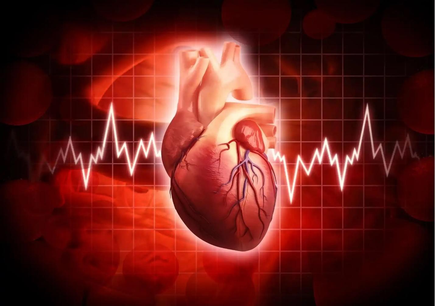 بهترین روش‌های تشخیص گرفتگی عروق قلب