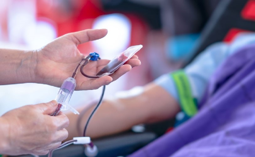 چکاپ سازمانی چیست و چرا برای شرکتها حیاتی است؟ آزمایش در محل