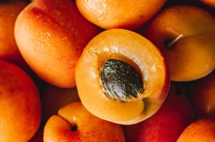 زردآلو؛ میوه‌ای با اثر شگفت‌انگیز بر چاقی و لاغری