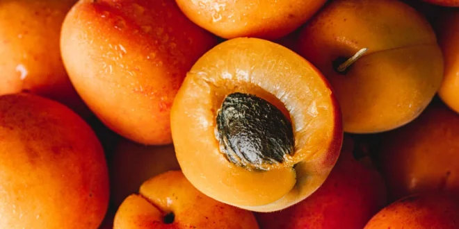 زردآلو؛ میوه‌ای با اثر شگفت‌انگیز بر چاقی و لاغری