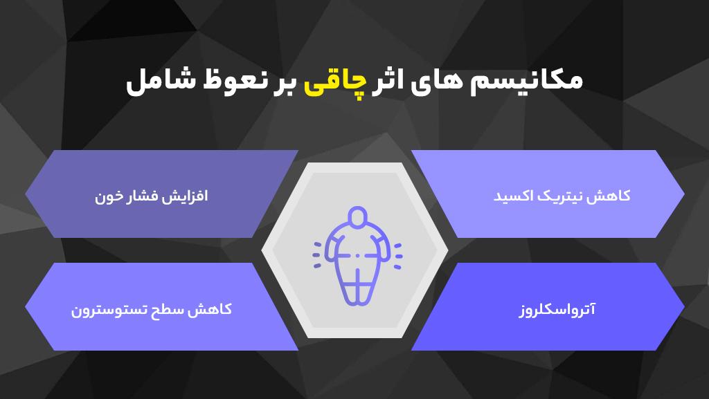 مکانیسم های اثر چاقی بر نعوظ