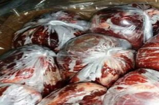 ۲ تن آلایش غیرخوراکی و اجزای حرام دام در دماوند کشف شد