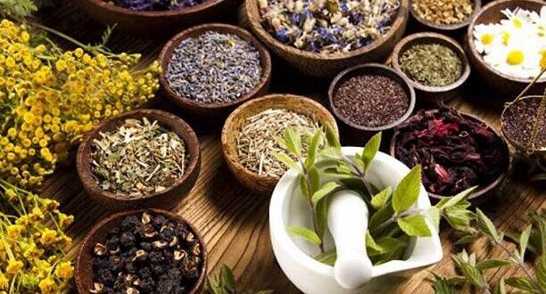 برای غلظت خون چه بخوریم چه نخوریم؟/ نظر طب سنتی را بخوانید