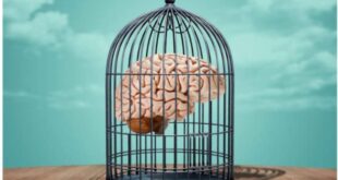 تصلب شناختی و انعطاف‌پذیری ذهن