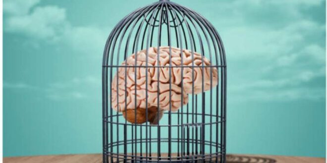 تصلب شناختی و انعطاف‌پذیری ذهن