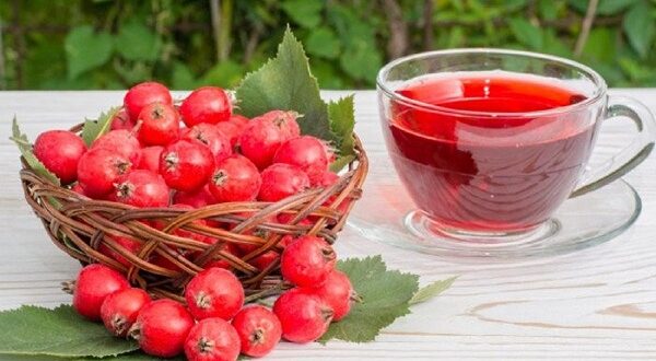 خواص فوق العاده زالزالک در طب سنتی که بعد از مصرف نصیب بدن تان می شود