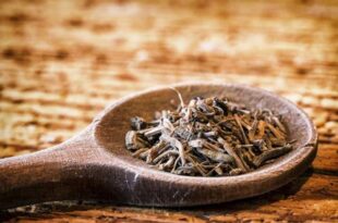 دردهای پس از زایمان را با «سنبل‌الطیب» درمان کنید