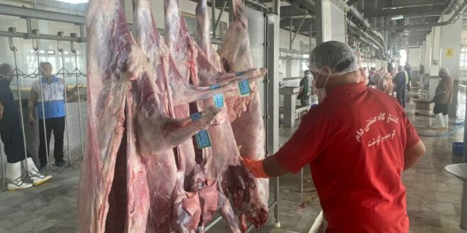 زنجیره سرد گوشت تا دورترین شهرستان‌های استان بوشهر