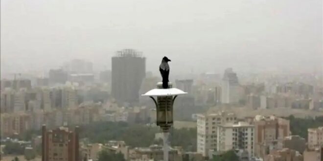شاخص آلودگی هوای تهران امروز چهارشنبه ۱۰ دی ۱۴۰۴ / شاخص آلودگی تهران شوکه‌کننده شد