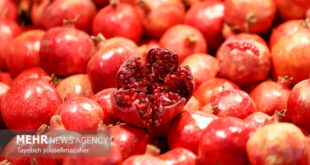 شب یلدا را هوشمندانه بگذرانیم؛ نه پرخوری، نه حذف دورهمی