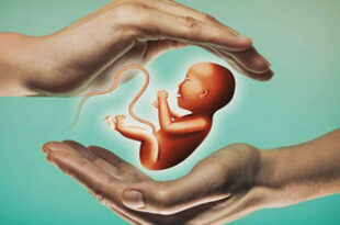 شعار فرزند کمتر، زندگی بهتر، بر الگوهای فرزندآوری اثر گذاشته است