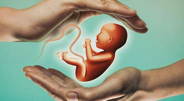 شعار فرزند کمتر، زندگی بهتر، بر الگوهای فرزندآوری اثر گذاشته است