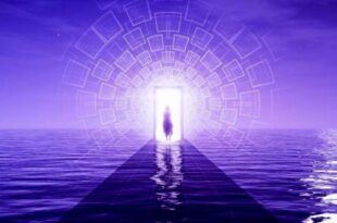 شهامتِ معنوی چیست ؟