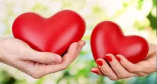 عشق پایدار؛ آغاز با هیجان، تداوم با تعهد