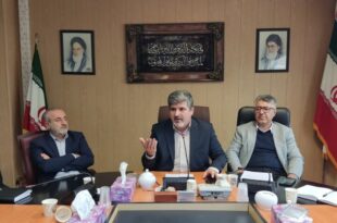 لزوم مدیریت علمی برای مهار افزایش سگ‌های بلاصاحب در کردستان