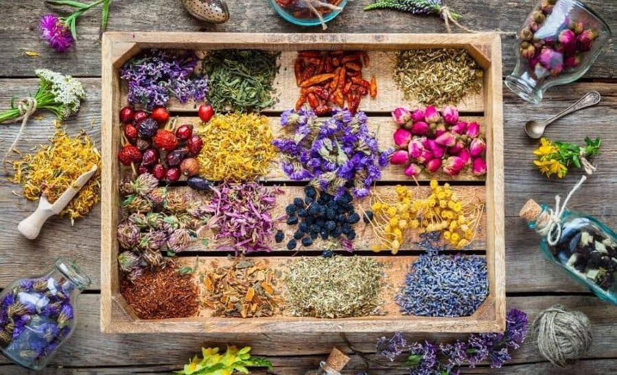 لیستی از پرکاربردترین گیاهان دارویی لیست گیاهان دارویی در عطاری