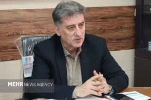 مرادی: قیمت مرغ در رودسر تغییری نکرده است