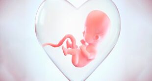 مرکز «نفس» میناب آغاز به کار کرد