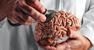 مغز جوان‌تر می‌خواهید؟ این توصیه‌ها را رعایت کنید