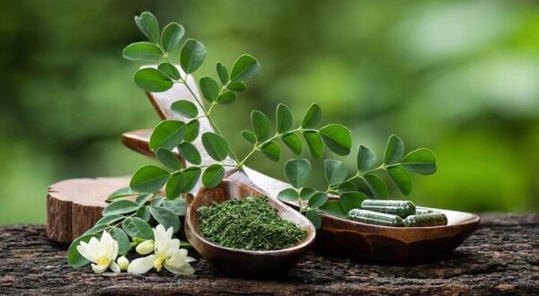 ناشتا آب موریگانا بخورید چربی و قند خون تنظیم می شود