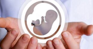 نرخ باروری درمنطقه کاشان به زیر ۱.۵فرزند برای هر مادر در سن باروری است