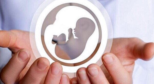 نرخ باروری درمنطقه کاشان به زیر ۱.۵فرزند برای هر مادر در سن باروری است
