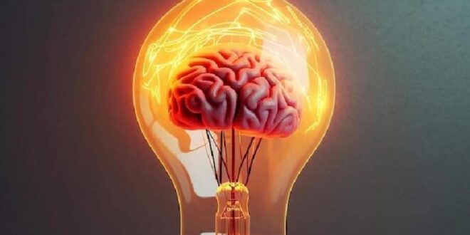 نوروساینس عاطفی (Affective Neuroscience) چیست ؟