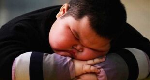 هشدار درباره بحران کم‌تحرکی در تهران؛ ۶۰ درصد شهروندان تهرانی کم‌تحرک