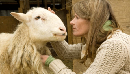 سرفه گوسفندان, ذات‌الریه گوسفندان