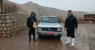 واکسیناسیون دام‌ها در هرسین برای مقابله با تب برفکی