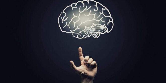 کاتاتونیا (Catatonia) چیست ؟