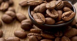 کافئین برای بدن مفید است یا ضرر دارد