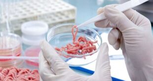 کشف و امحای مقادیر قابل توجه آلایش دامی تاریخ‌گذشته در سنقر و کلیایی