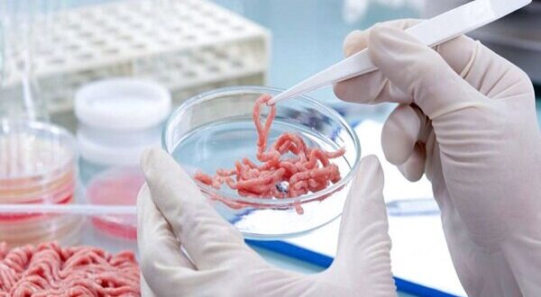 کشف و امحای مقادیر قابل توجه آلایش دامی تاریخ‌گذشته در سنقر و کلیایی