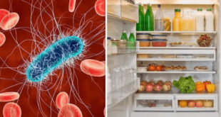 این ۷ غذای روزمره را از یخچال خود حذف کنید