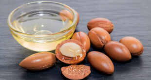 خواص روغن آرگان برای صورت | روغن آرگان چه اثری بر پوست دارد؟