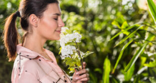 مراقبت از پوست در برابر آلرژی‌های فصلی و حساسیت‌های پوستی