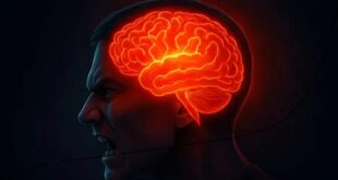 وقتی عصبانی هستید چه اتفاقی در مغز شما می‌ افتد؟