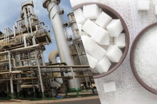پاسخ سازمان غذا و دارو به فرایند تولید قند و شکر