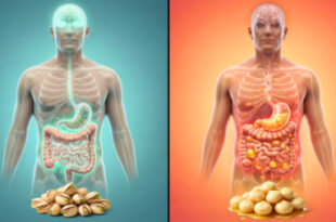 آجیل واقعاً دوست سلامتی ماست یا دشمن پنهان کالری؟