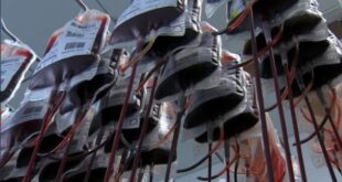 آخرین وضعیت ذخایر خون کشور؛ چرا بعضی استان‌ها همیشه در وضعیت هشدارند؟