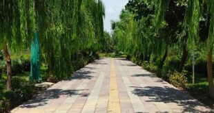 آغاز فوری پایش ایمنی بوستان‌ها در آستانه نوروز