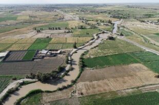 اخلاصی: ۱۰ هزار هکتار اراضی کشاورزی مرکزی به حوزه صنعت واگذار شد