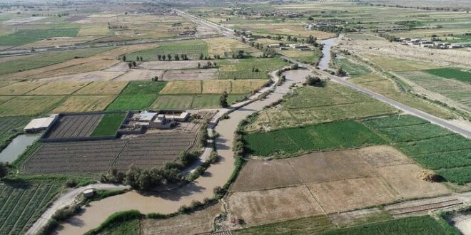 اخلاصی: ۱۰ هزار هکتار اراضی کشاورزی مرکزی به حوزه صنعت واگذار شد