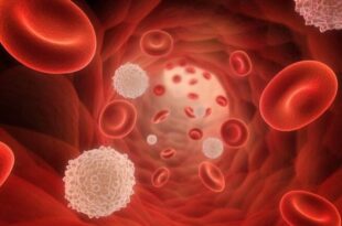 افت گلبول سفید خون، زنگ خطر سلامت بدن