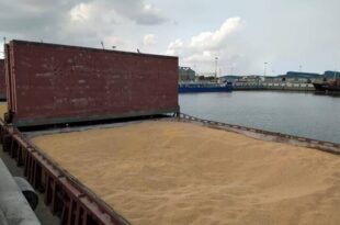 بابایی: نهاده‌های دامی گیلان با نظارت دقیق ترخیص می شوند