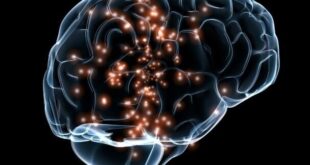 بارداری و شیردهی از مغز زنان در برابر پیری محافظت می کند