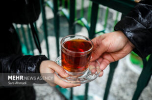 برپایی «چایخانه امام رضا(ع)» به مناسبت نیمه شعبان در رشت