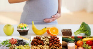 تأثیر کمبود پروتئین بر تکامل اندام‌های حیاتی جنین